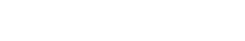 LNU, Sweden logotype